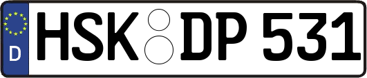 HSK-DP531