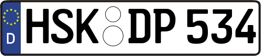 HSK-DP534