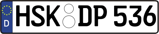 HSK-DP536