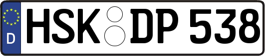 HSK-DP538