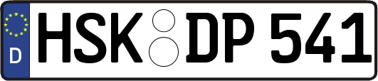 HSK-DP541