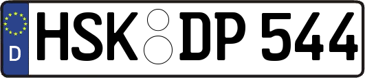 HSK-DP544