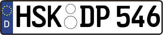 HSK-DP546