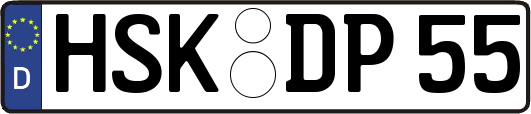HSK-DP55
