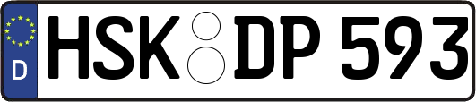 HSK-DP593