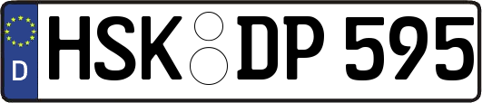 HSK-DP595