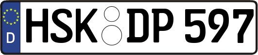 HSK-DP597