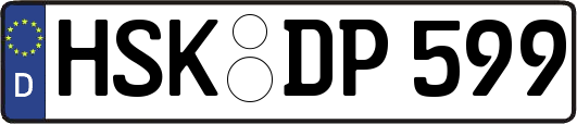 HSK-DP599