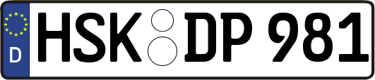 HSK-DP981