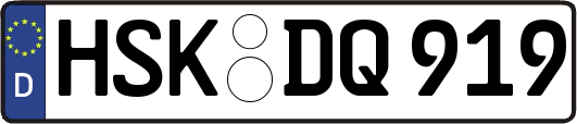HSK-DQ919