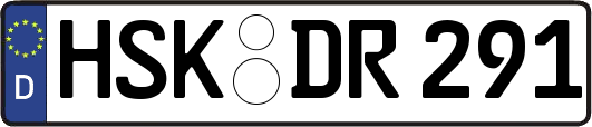 HSK-DR291