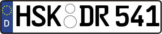 HSK-DR541