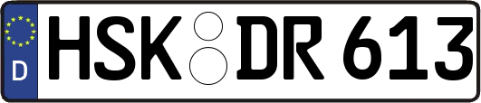 HSK-DR613
