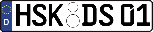 HSK-DS01