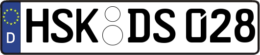 HSK-DS028