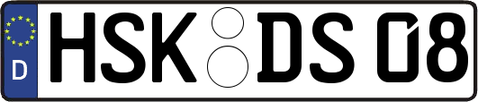 HSK-DS08