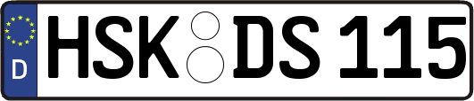 HSK-DS115