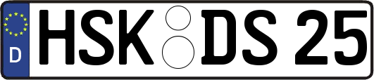 HSK-DS25