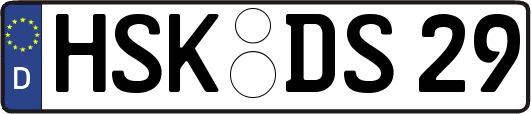 HSK-DS29