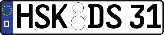 HSK-DS31