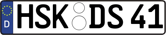 HSK-DS41