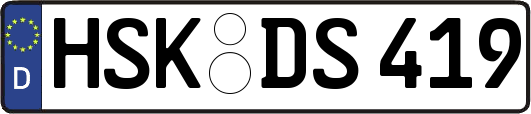 HSK-DS419