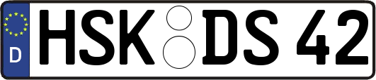 HSK-DS42