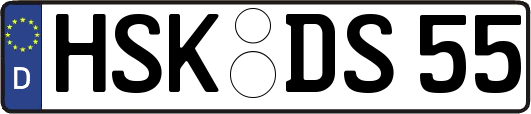 HSK-DS55