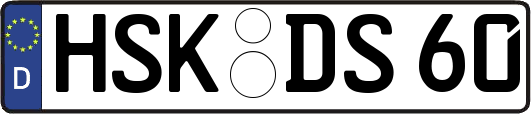 HSK-DS60
