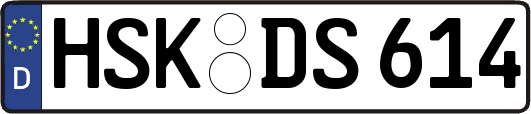 HSK-DS614