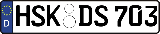 HSK-DS703