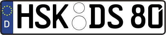 HSK-DS80