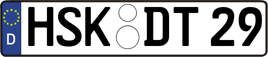 HSK-DT29