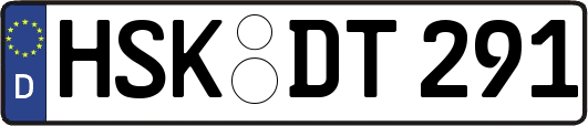 HSK-DT291