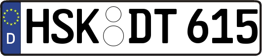 HSK-DT615
