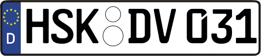 HSK-DV031