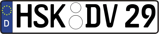 HSK-DV29