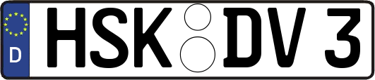 HSK-DV3