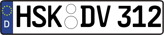HSK-DV312
