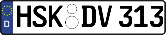 HSK-DV313