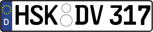 HSK-DV317