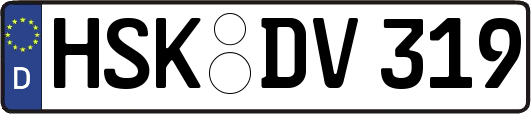 HSK-DV319