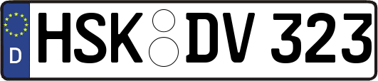 HSK-DV323