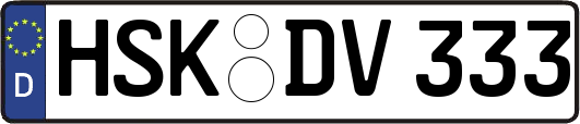 HSK-DV333