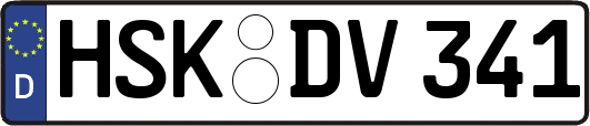 HSK-DV341