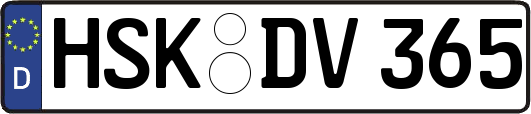 HSK-DV365