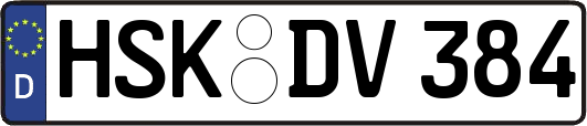 HSK-DV384