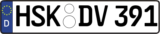 HSK-DV391