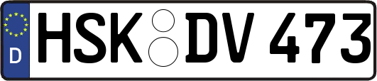 HSK-DV473