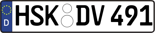 HSK-DV491